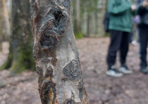 warsztacie terenowym "Ślady i Tropy"