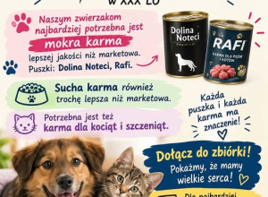 Zachęcamy do udziału w akcji SKW!