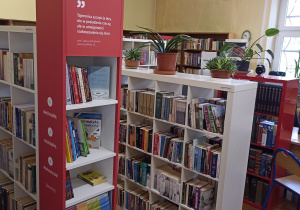 Najnowszy wystrój biblioteki