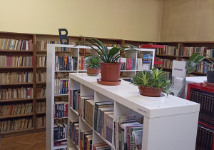 Najnowszy wystrój biblioteki