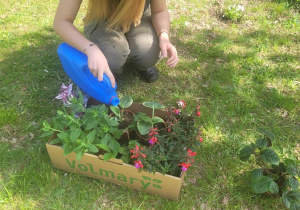 Uczniowie sadzą rośliny w ogrodzie szkolnym