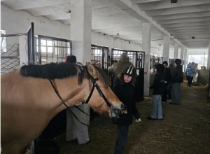 Warsztaty edukacyjno-rekreacyjne na terenie Stadniny Koni