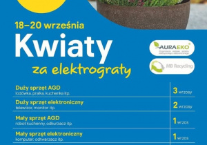 Plakat akcji kwiaty za graty
