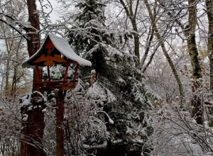 Trzydziestka w zimowej odsłonie