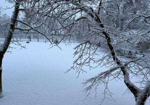 Zaśnieżone błonia szkolne