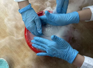 Olimpiada "Zwolnieni z teorii"