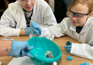 Dwójka uczniów w okularach przy stole i mieszający w misce