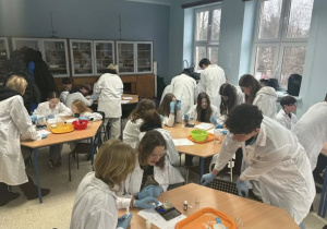 Uczniowie przy stołach podczas doświadczeń