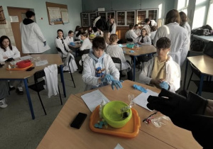 Grupa uczniów przy stołach z odczynnikami w białych fartuchach, gumowych rękawicach