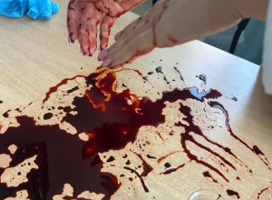 Olimpiada "Zwolnieni z teorii" - cd.