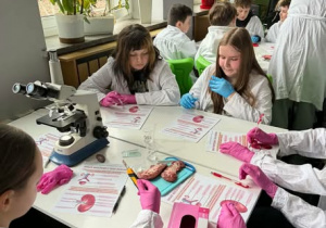 uczennice w białych fartuchach, różowych rękawicach i ze skalpelami w rękach