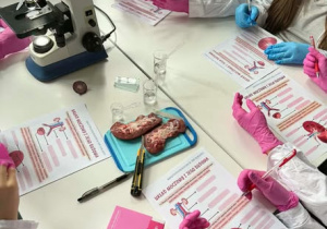 mikroskop stojący na stole przy nerkach do preparowania