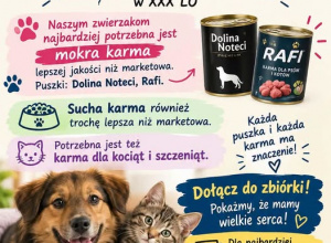 Zachęcamy do udziału w akcji SKW!