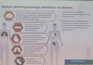Wykres wpływu